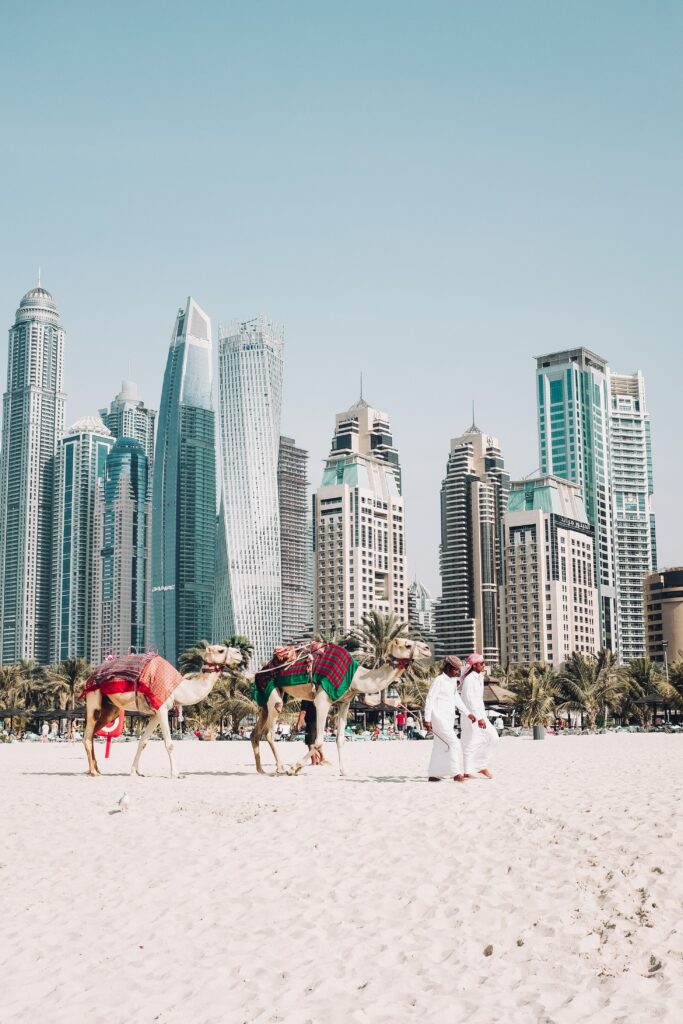 A camel strolls on the beach with a city skyline in the background. Explore Dubai's beauty with the best travel agency.