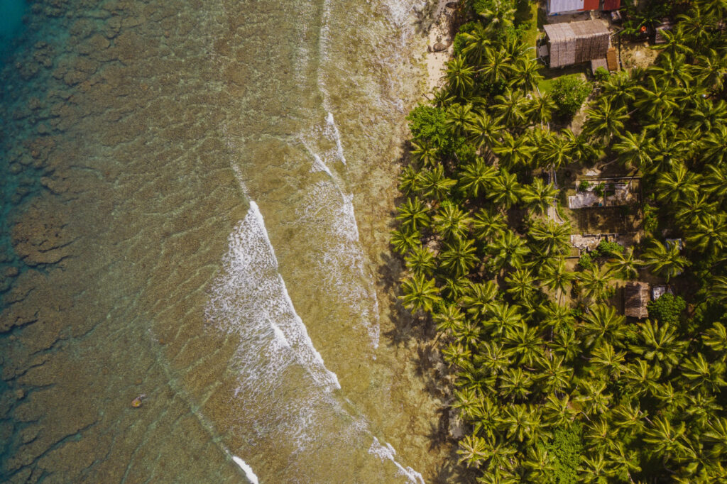 Aerial-view-of-a-serene-beach-lined-with-palm-trees-showcasing-the-vibrant-blue-ocean-and-sandy-shoreline.jpg