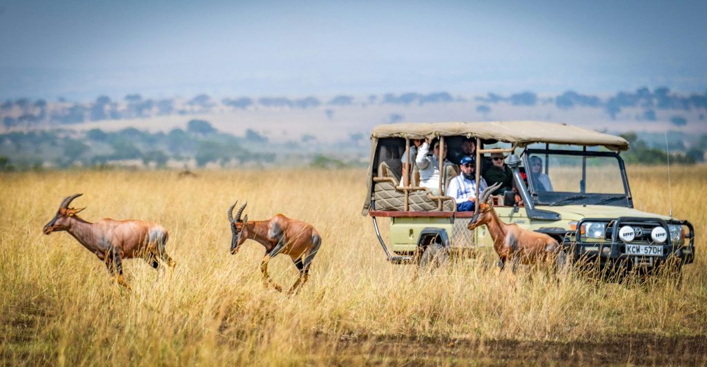 How to Plan a Stress-Free Eid Vacation to Kenya from Dubai