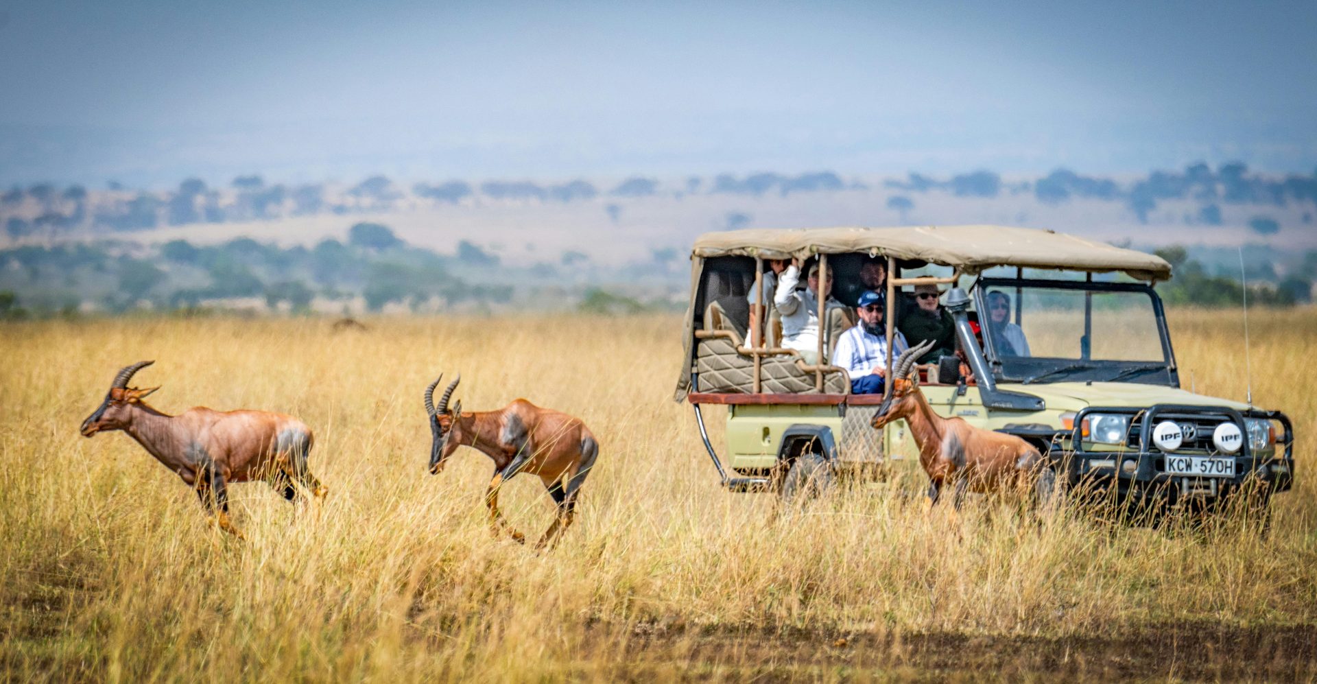 A safari vehicle with tourists observing animals running in the grass, promoting a travel agency in Dubai.jpeg